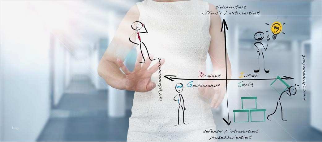 Coaching Konzept Vorlage Neu Fantastisch Personalanalyse Vorlage Galerie
