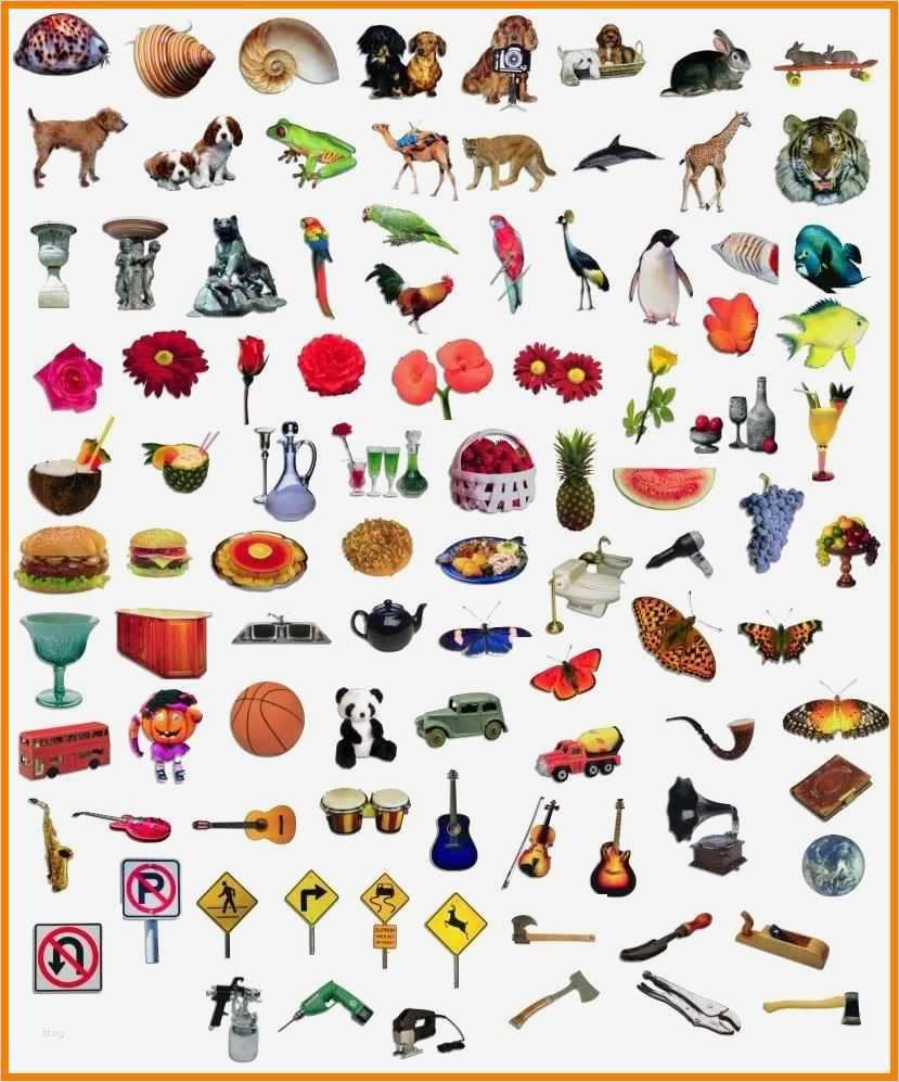 Corel Draw Broschüre Vorlage Erstaunlich 13 Cliparts Gratis