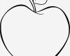 Corel Draw Vorlagen Kostenlos Runterladen Süß Malvorlage Gratis Äpfel Ausmalbild Gratis Malvorlagen