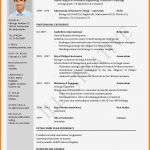 Cv Englisch Vorlage Word Bewundernswert 6 Cv Vorlage Englisch