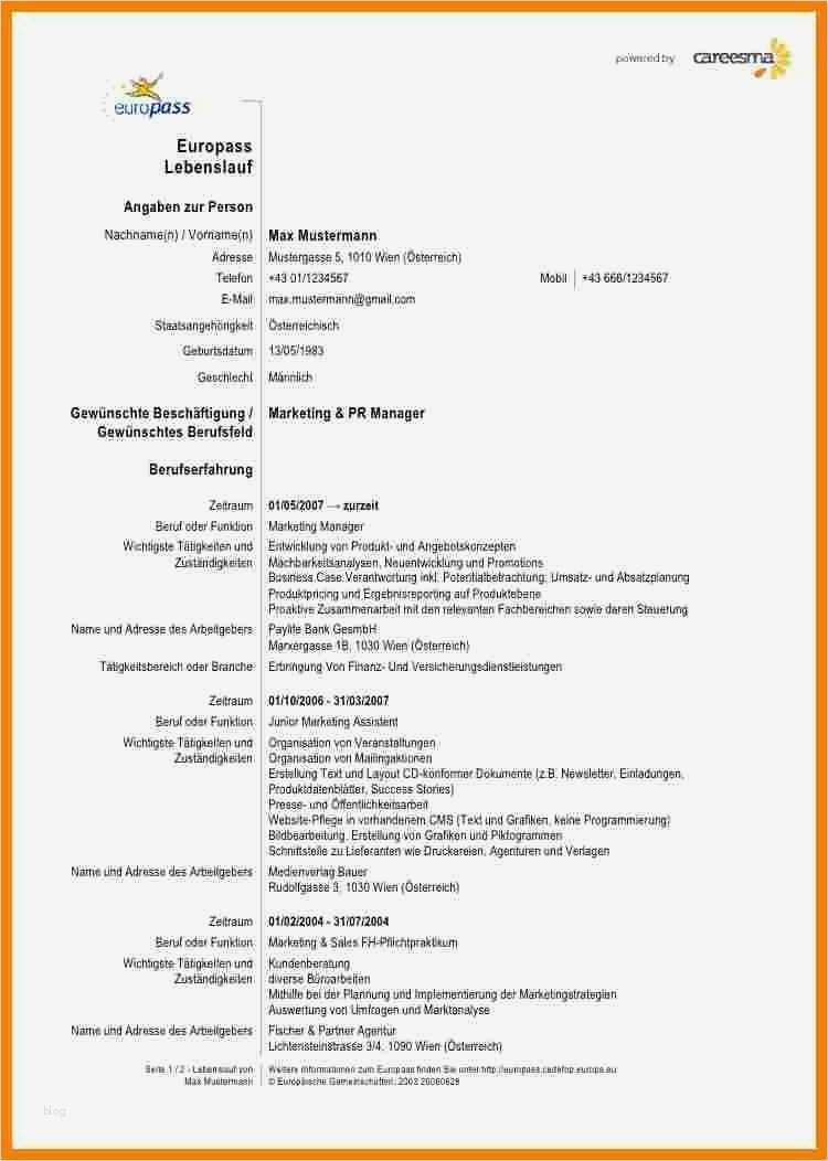 Cv Englisch Vorlage Word Genial 6 Cv Vorlage Englisch