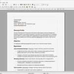 Cv Englisch Vorlage Word Gut Lebenslauf Englisch Download