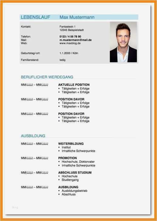 Cv Englisch Vorlage Word Luxus 11 Curriculum Vitae Vorlage Word