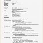 Cv Englisch Vorlage Word Süß Fantastisch Lebenslauf Definition Francais Fotos Ideen