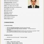 Cv English Vorlage Gut Resume Template for English Majors Image Collections