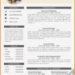 Cv English Vorlage Süß 15 Cv Vorlage Englisch