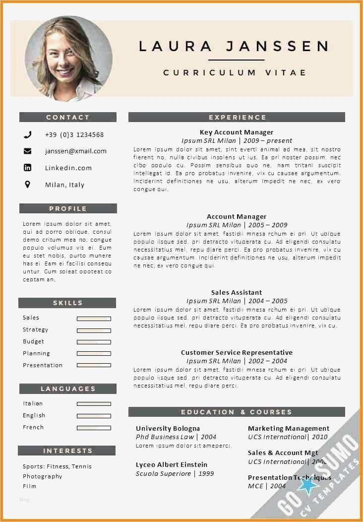 Cv English Vorlage Süß 15 Cv Vorlage Englisch