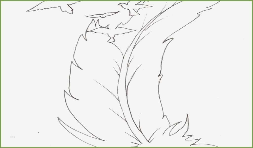 Dankeskarte Kommunion Vorlage Süß tolle Fisch Framing Fotos Wandrahmen Ideen