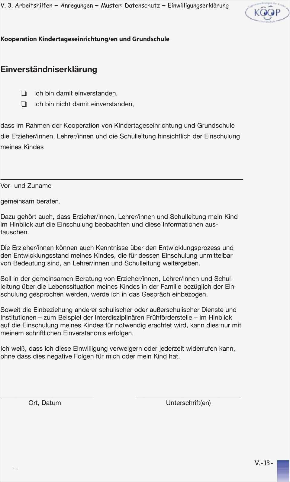 Datenschutzrechtliche Einwilligungserklärung Vorlage Erstaunlich V Arbeitshilfen Anregungen Muster V Arbeitshilfen Pdf