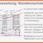 Datev Vorlage Zur Dokumentation Der Täglichen Arbeitszeit Pdf 2016 Süß Wunderbar Tägliche Stundenzettel Vorlage Fotos Bilder
