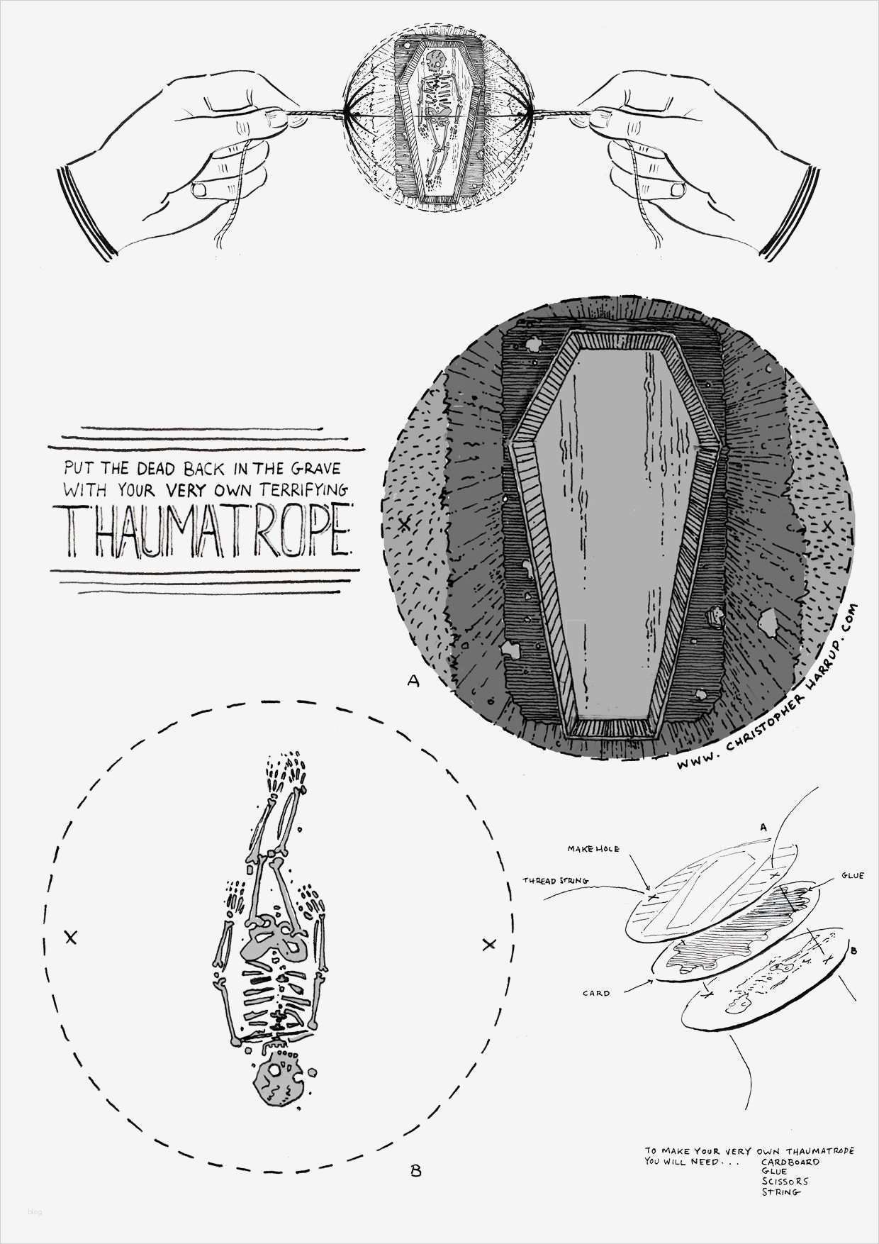 Daumenkino Basteln Vorlage Gut Thaumatrope Foto Film Pinterest