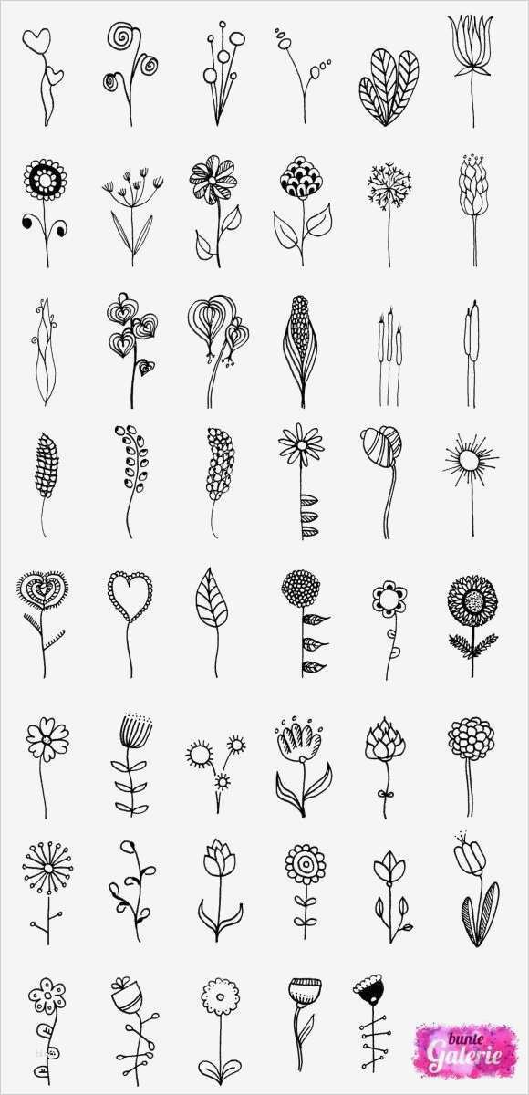 Daumenkino Basteln Vorlage Schönste Doodle Blumen Zur Inspiration