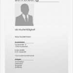 Deckblatt Praktikum Vorlage Schön Kostenlose Deckblatt Vorlagen Lebenslaufmuster