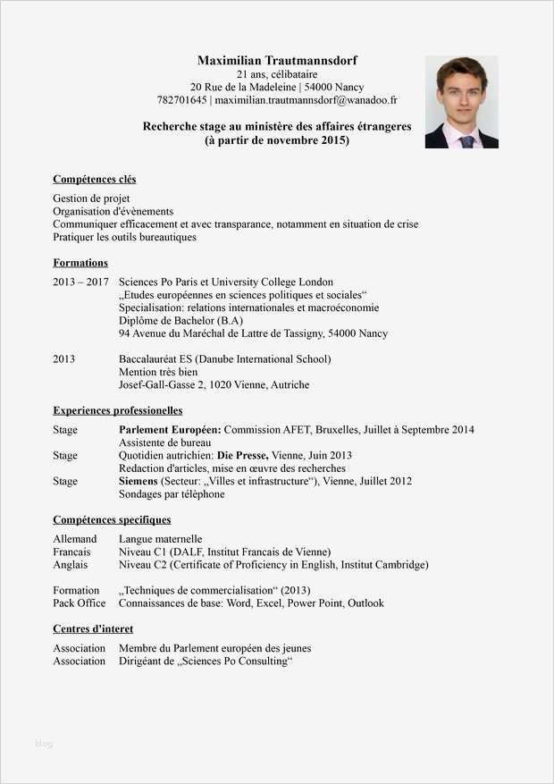 Der Perfekte Lebenslauf Vorlage Inspiration Der Perfekte Lebenslauf Frankreich Diepresse
