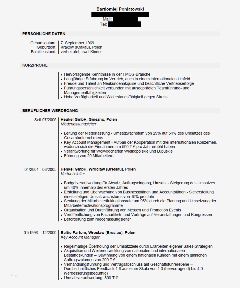 Deutscher Lebenslauf Vorlage Erstaunlich Cv Bewerbung Lebenslauf Beispiel