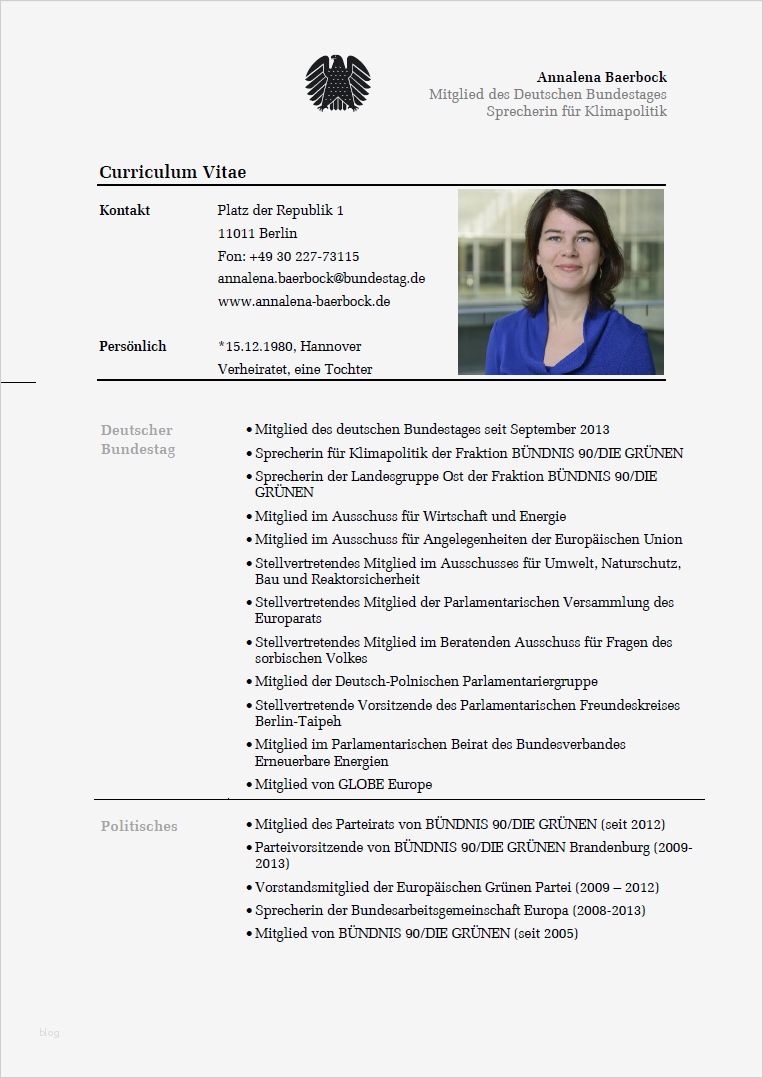 Deutscher Lebenslauf Vorlage Erstaunlich Deutscher Lebenslauf
