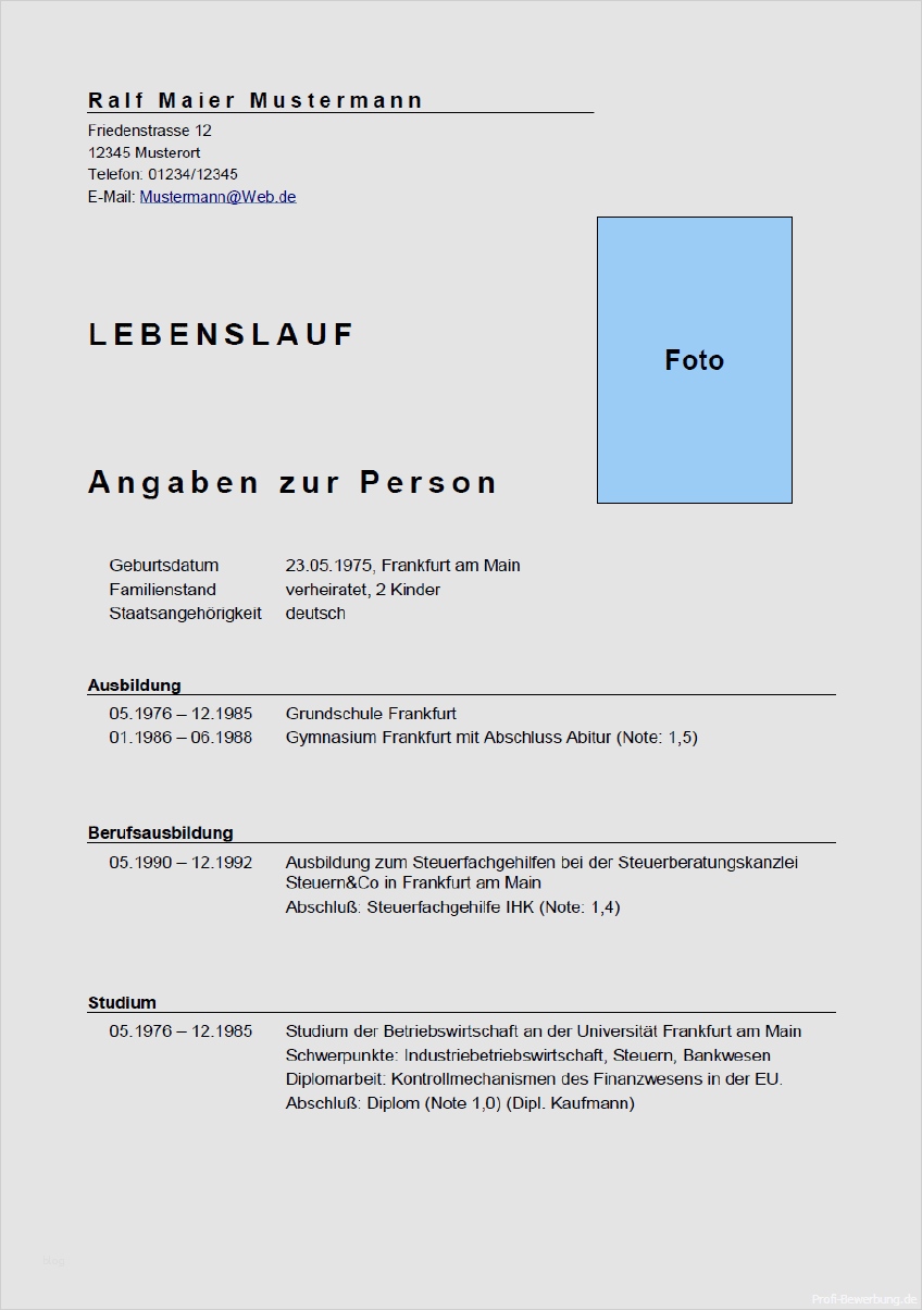 Deutscher Lebenslauf Vorlage Erstaunlich Pin Deutscher Lebenslauf On Pinterest