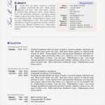 Deutscher Lebenslauf Vorlage Erstaunlich Ungewöhnlich Latex Lebenslauf Beispiele Zeitgenössisch