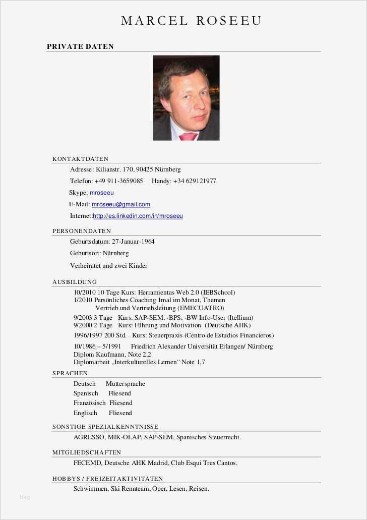 Deutscher Lebenslauf Vorlage Neu Cv Interim Deutsch