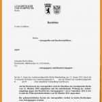 Dienstaufsichtsbeschwerde Jobcenter Vorlage Schön 11 Beschwerdebrief Muster