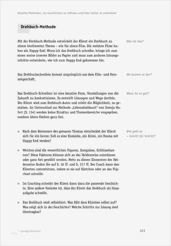 Geschichten im Coaching Drehbuch Methode