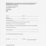 Ebay Haftungsausschluss Privat Vorlage Fabelhaft Kaufvertrag Gekauft Wie Gesehen