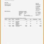 Ebay Haftungsausschluss Privat Vorlage Inspiration 5 Rechnung Bei Ebay