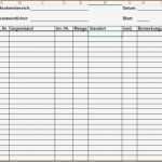 Einfaches Kassenbuch Excel Vorlage Einzigartig 10 Einfache Buchhaltung Excel Vorlage Vorlagen123