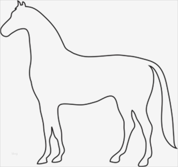 Einhorn Pinata Vorlage Cool Horse Outline
