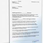 Einstellungszusage Muster Vorlage Kostenlos Schönste Empfehlung Eines Schülers Muster Vorlage Zum Download