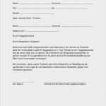 Einverständniserklärung Vorlage Microblading Luxus Ziemlich Einverständniserklärung Für Eltern Ideen