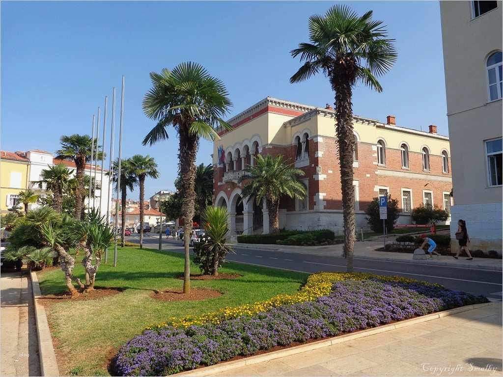 Einverständniserklärung Zur Vorlage Bei Grenzbehörden Best Of Einreisebestimmungen Urlaub Porec