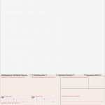 Einzahlungsschein Schweiz Vorlage Gut Einzahlungsscheine Bedruckt Und Unbedruckt Druck