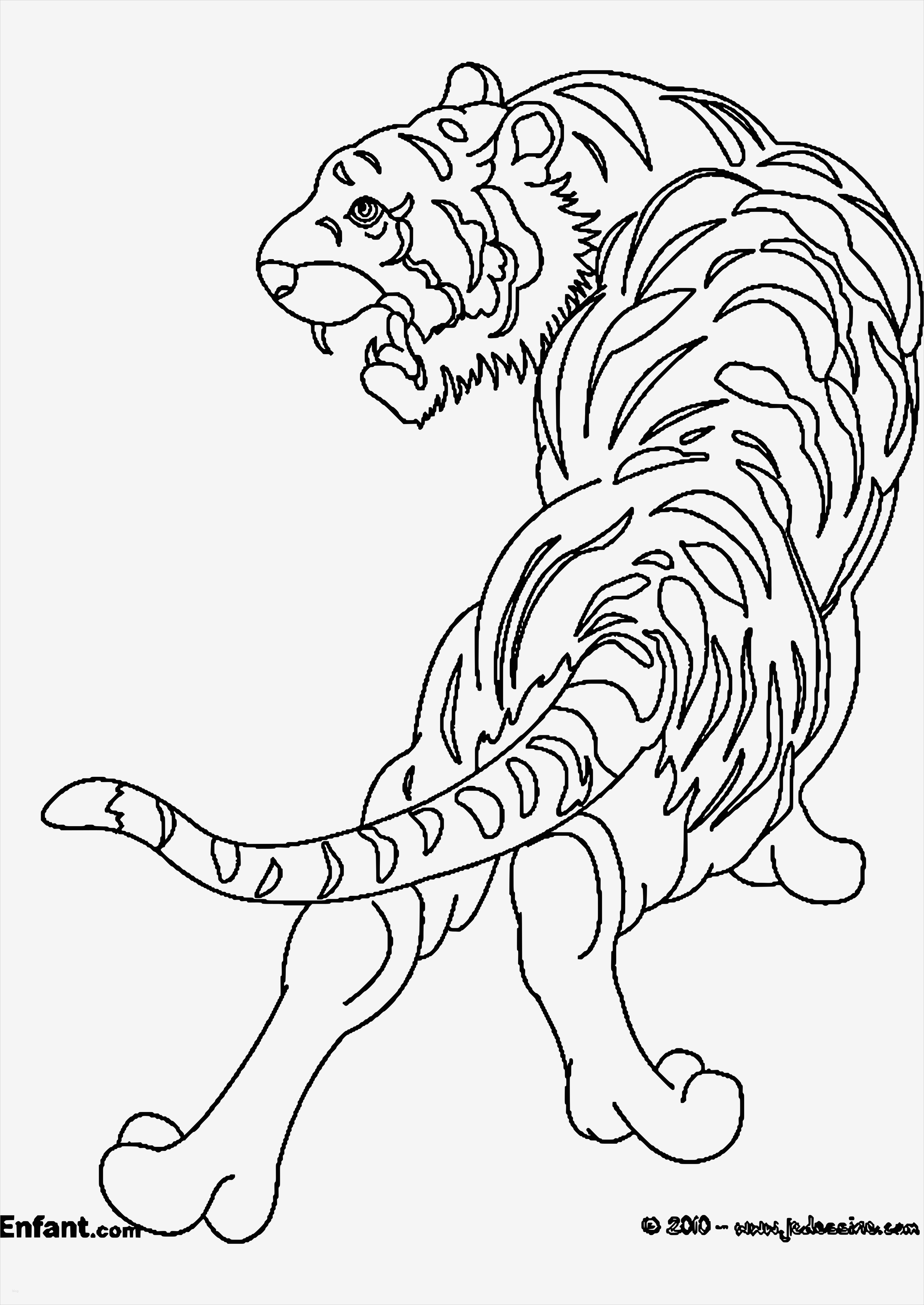 Elsa Krone Vorlage Gut Schön Elsa Krone Vorlage Zeitgenössisch Beispiel