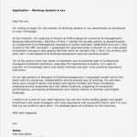 Englische Biographie Vorlage Angenehm Bewerbung In Englisch Bitte Um Feedback Lebenslauf