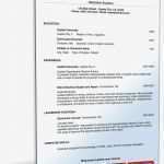 Englische Biographie Vorlage Inspiration Lebenslauf Englisch