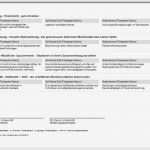 Entwicklungsbericht Vorlage Kindergarten Erstaunlich Förderplan Schreiben Mit Förderplaner