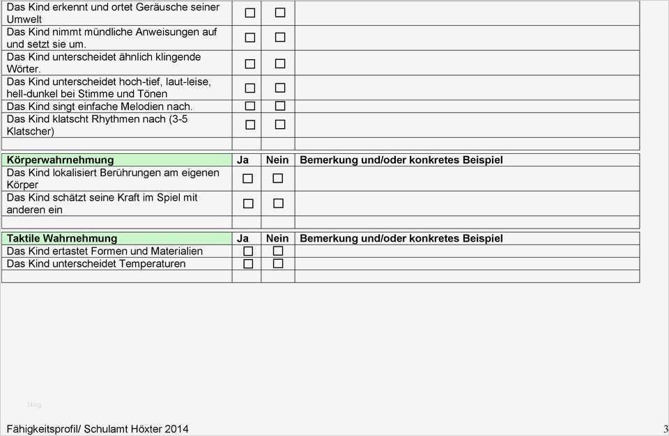 Entwicklungsbericht Vorlage Kindergarten Schönste Entwicklungsbericht Der Kindertagesstätte Zum Antrag Auf