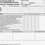 Entwicklungsbogen Kindergarten Vorlage Erstaunlich Ravensburger Bogen Zur Entwicklungsbeobachtung Von 4