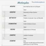 Ernährungsplan Woche Vorlage Best Of Die Besten 25 Einkaufsliste Ideen Auf Pinterest