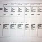 Ernährungsplan Woche Vorlage Cool Wie Viel Kg Kann Ich Innerhalb Von 2 Wochen Verlieren