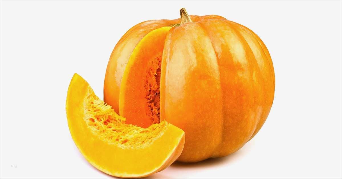 Ernährungsplan Woche Vorlage Erstaunlich Abnehmen Ww Line