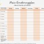 Ernährungsplan Woche Vorlage Wunderbar Ernährung Erfolgreich Umstellen Ernährungstagebuch Und