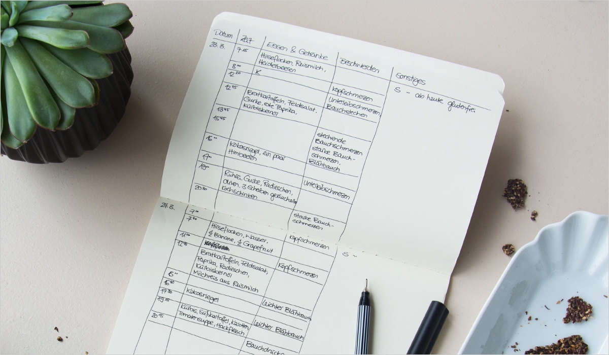 Ernährungstagebuch Vorlage Excel Best Of Großartig Schmerz Tagebuch Vorlage Bilder Entry Level