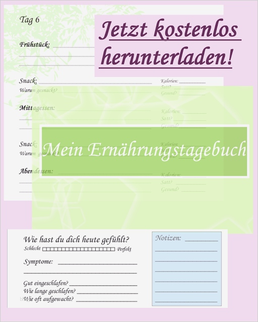 Ernährungstagebuch Vorlage Excel Schönste Niedlich Ernährungs Tagebuch Vorlage Herunterladen Bilder