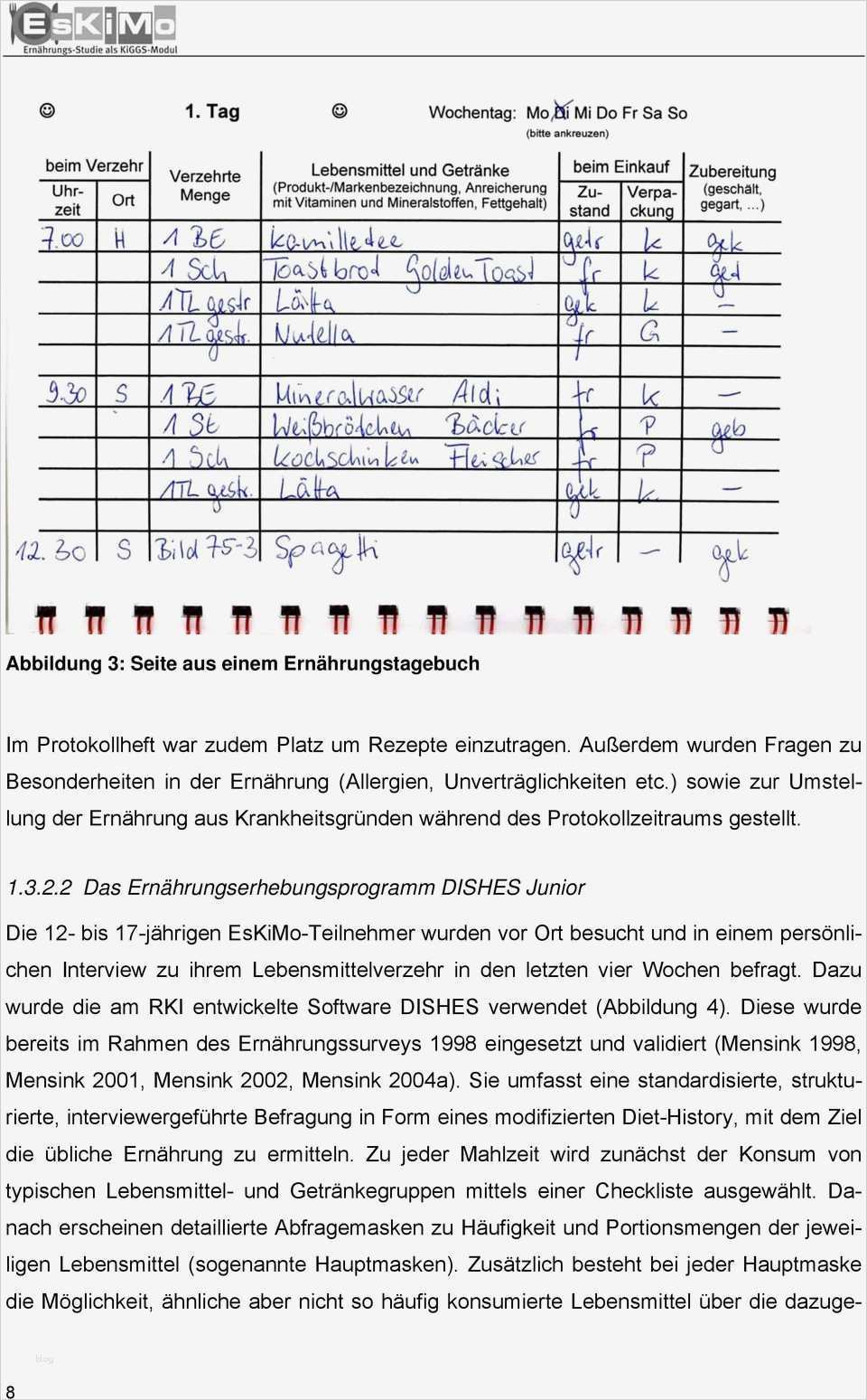 Ernährungstagebuch Vorlage Excel Wunderbar Berühmt Ernährungs Tagebuch Vorlage Frei Galerie Bilder