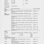 Eröffnungsbilanz Vorlage Pdf Elegant Wunderbar Stammbaum Pdf Vorlage Bilder