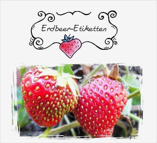 Etiketten Marmelade Vorlagen Kostenlos Bewundernswert Etiketten Vorlagen Kostenlos Zum Ausdrucken