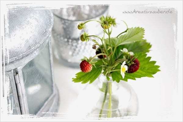 Etiketten Marmelade Vorlagen Kostenlos Einzigartig Etiketten Vorlagen Kostenlos Zum Ausdrucken