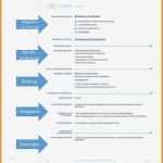 Europass Lebenslauf Vorlage Angenehm 12 Lebenslauf Europass
